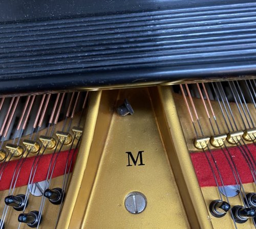 1925 Steinway &amp; Sons Model M Grand Piano