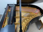 1925 Steinway &amp; Sons Model M Grand Piano