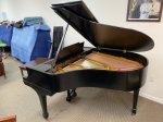 1925 Steinway &amp; Sons Model M Grand Piano
