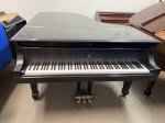 Steinway B 