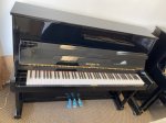 Hallet &amp; Davis Brand New